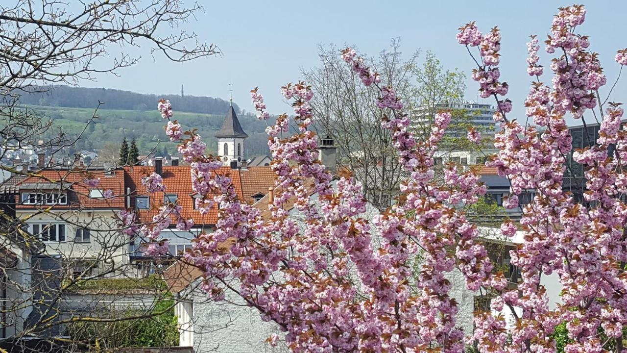 Villa Am Rosenfelspark 罗拉赫 外观 照片
