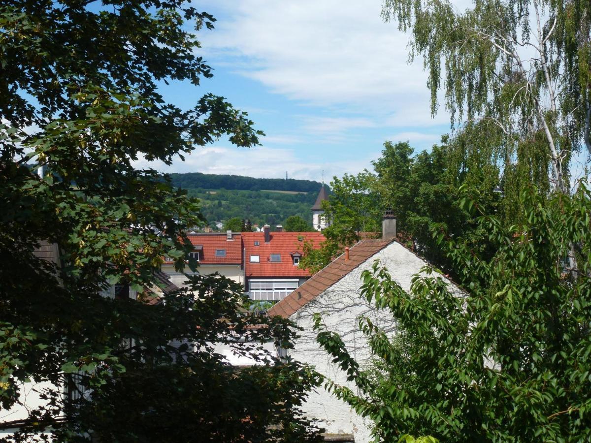 Villa Am Rosenfelspark 罗拉赫 外观 照片