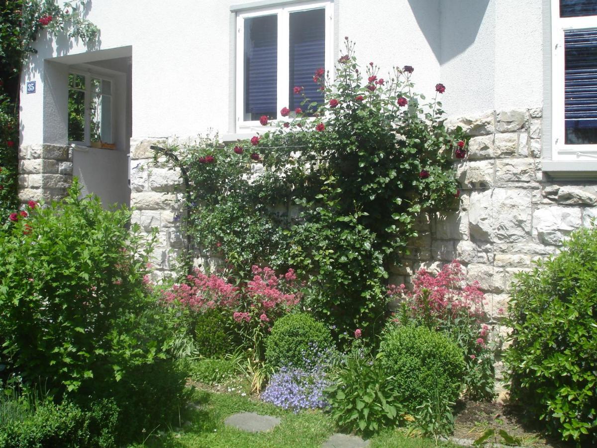 Villa Am Rosenfelspark 罗拉赫 外观 照片