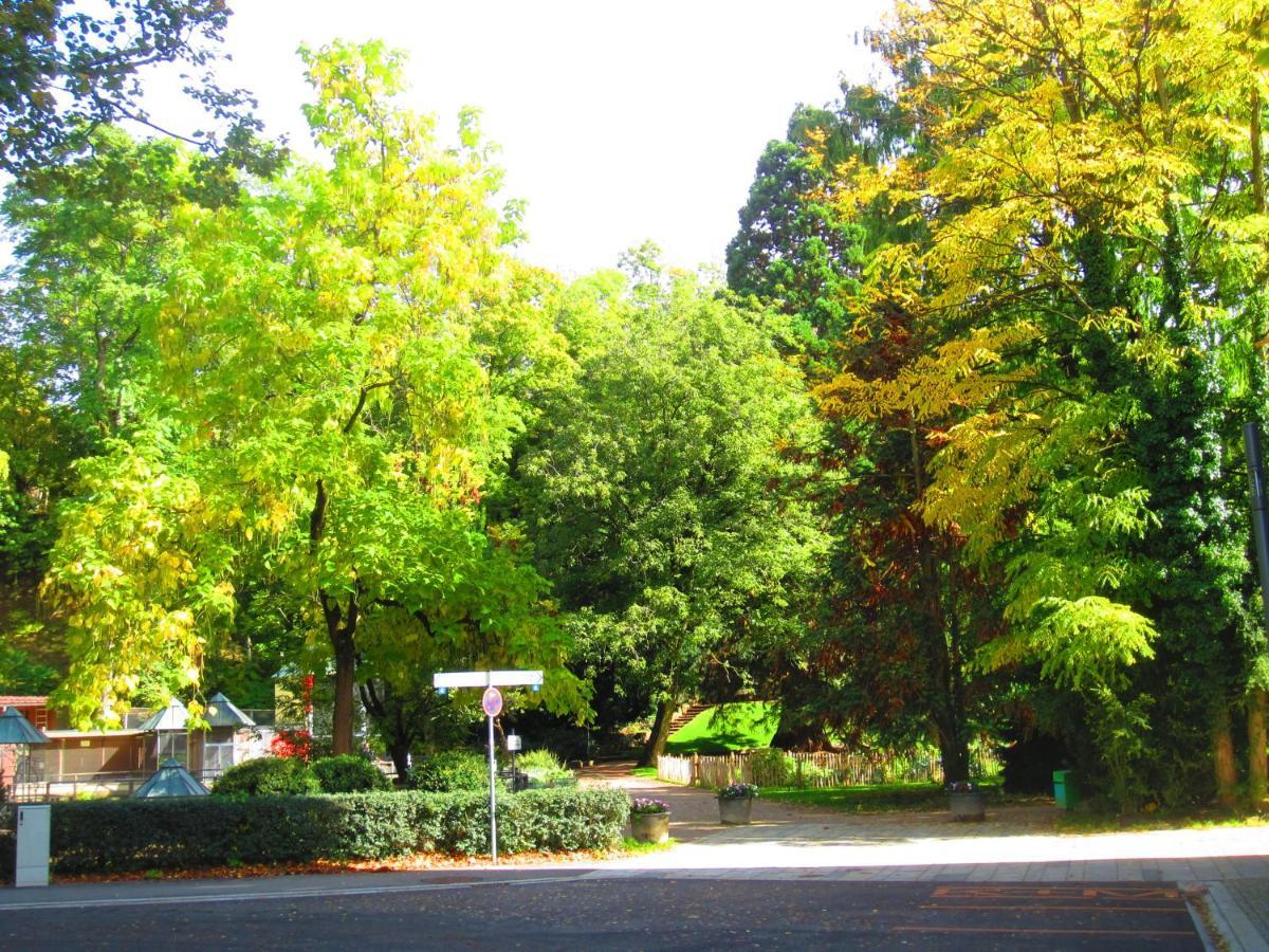 Villa Am Rosenfelspark 罗拉赫 外观 照片