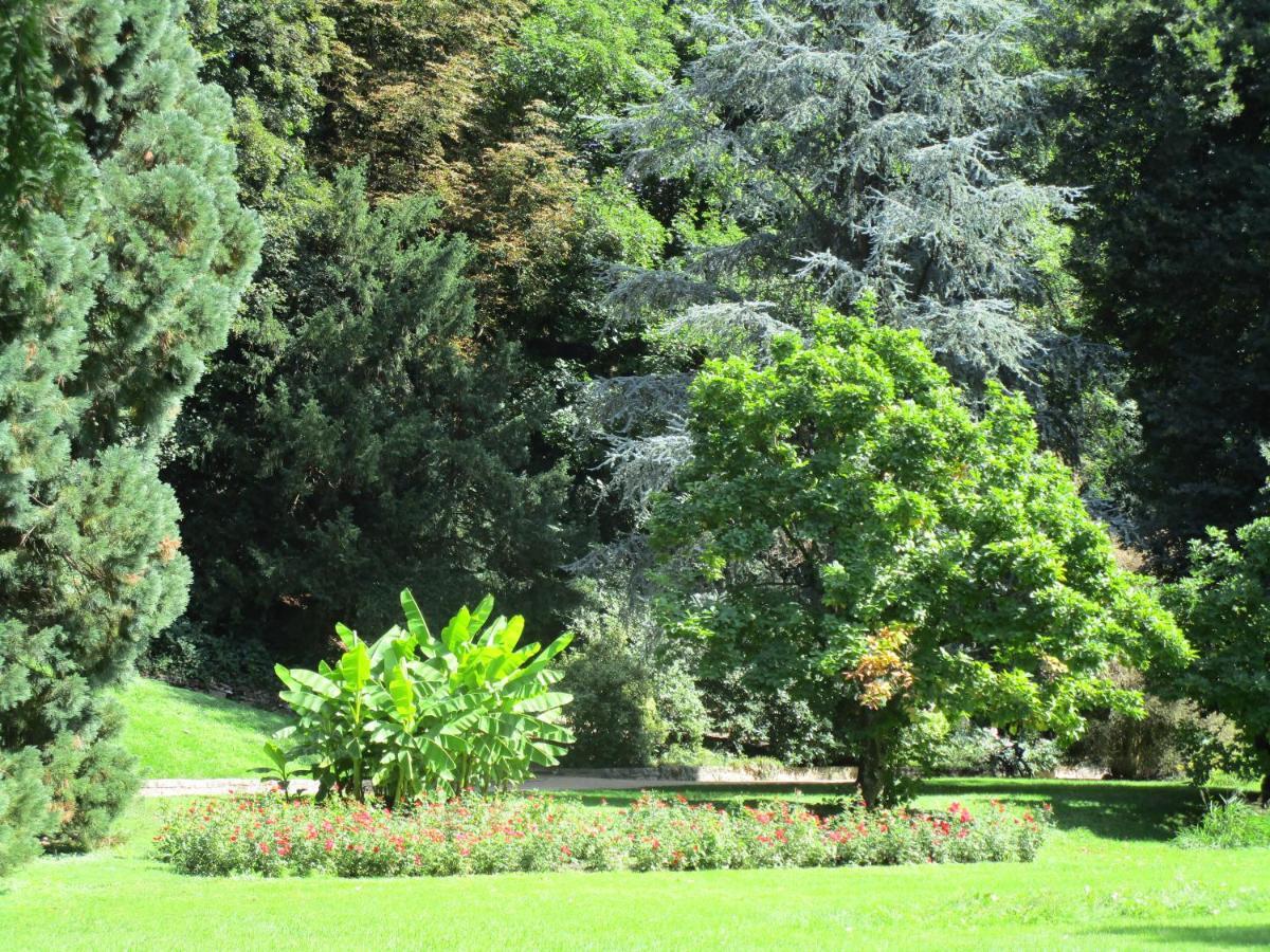 Villa Am Rosenfelspark 罗拉赫 外观 照片