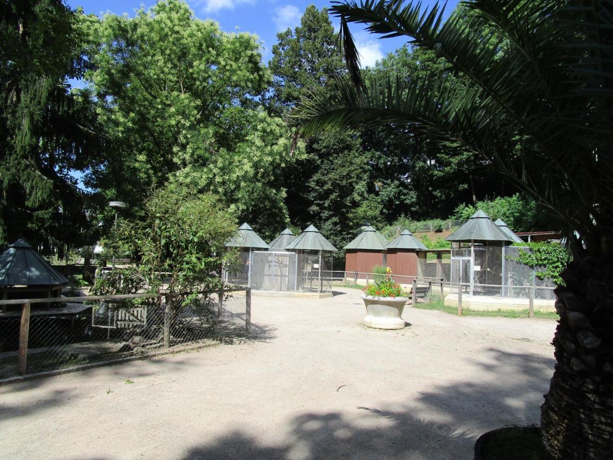 Villa Am Rosenfelspark 罗拉赫 外观 照片
